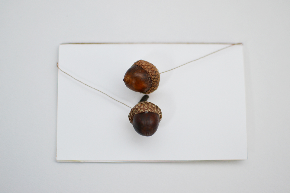 DIY Acorn Place Cards