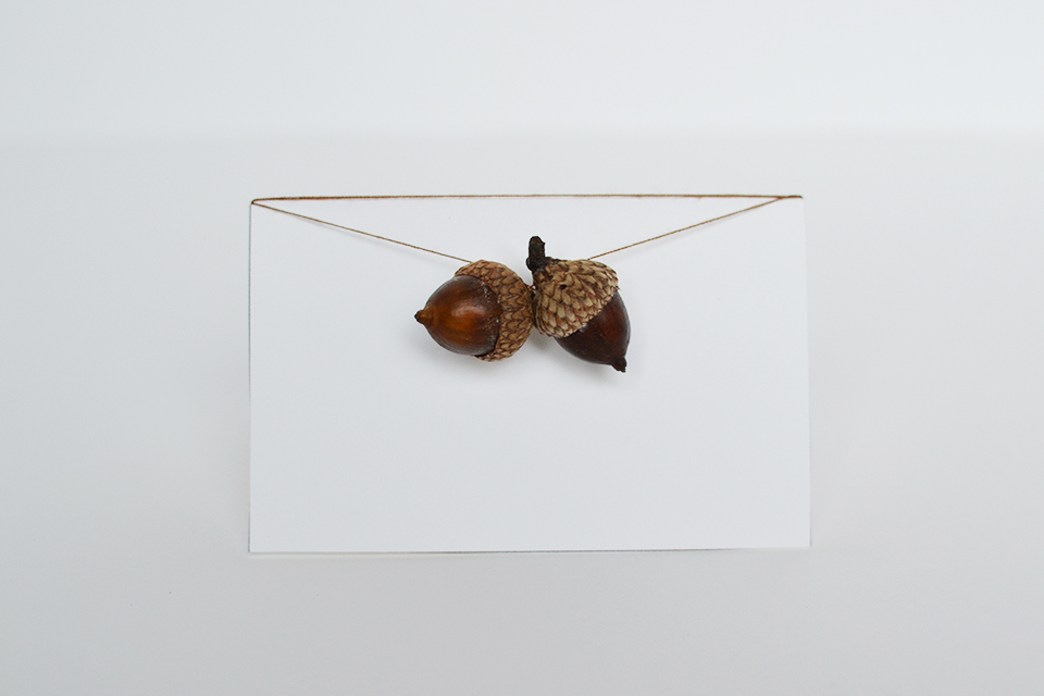 DIY Acorn Place Cards DIY Acorn Place Cards