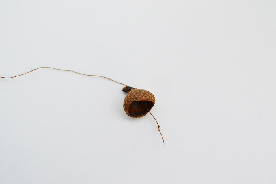 DIY Acorn Place Cards DIY Acorn Place Cards