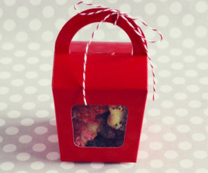 Candy Apple Red Treat Bags