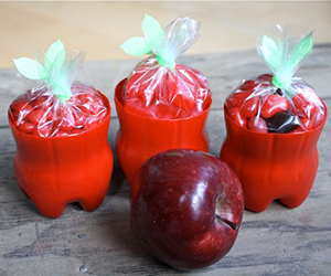 Apple Treat Cups