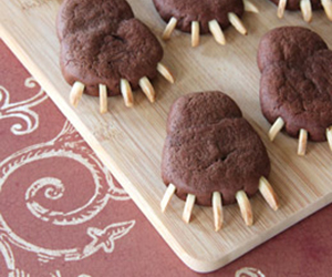 Bear Paws