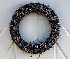 Spider Wreath